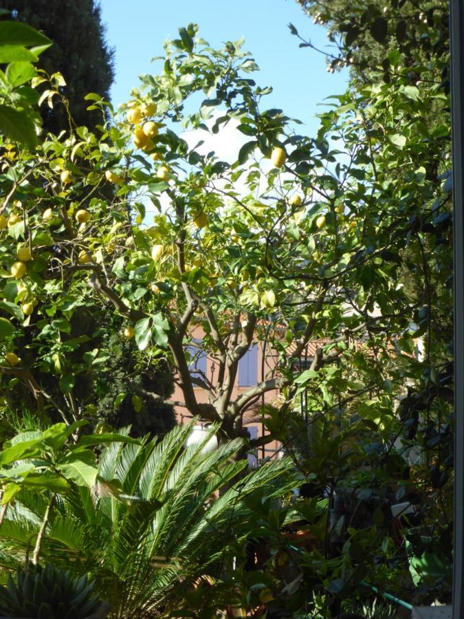 Apartamento Michelet Collioure Exterior foto